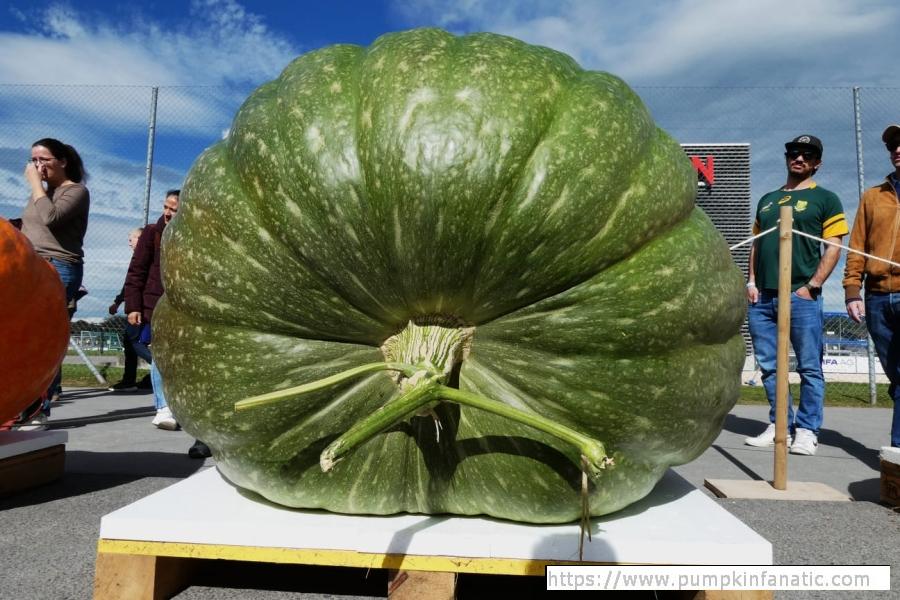 fruitImages/1688.7 Isler 2025B.jpg